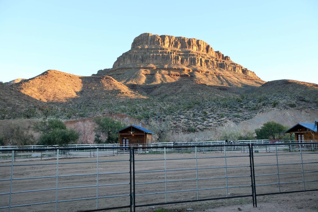 Grand Canyon Western Ranch Meadview Eksteriør billede