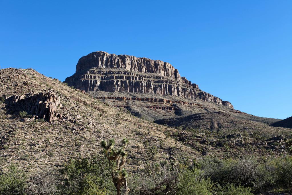 Grand Canyon Western Ranch Meadview Eksteriør billede